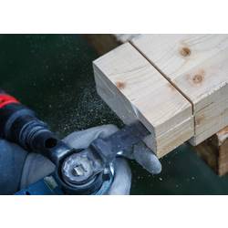 Bosch Accessories 2608669276 2608669276 Multifunkční pilový list 1 ks