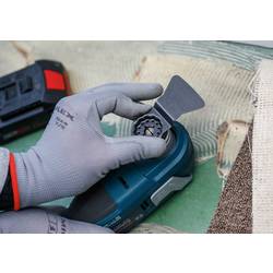Bosch Accessories 2608669269 2608669269 Multifunkční pilový list 10 ks