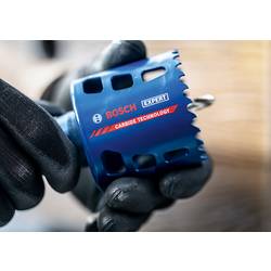 Bosch Accessories 2608901896 2608901896 vrtací korunka 73 mm 1 ks