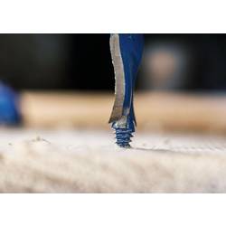 Bosch Accessories 2608902099 Plochý frézovací vrták 1 ks
