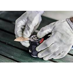 Bosch Accessories 2608902066 2608902066 Carbide-RIFF Multifunkční pilový list 1 ks