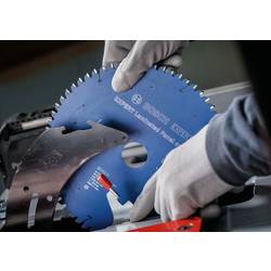 Bosch Accessories 2608902195 2608902195 pilový kotouč Počet zubů (na palec): 78 1 ks