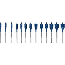 Bosch Accessories 2608902112 sada plochých frézovacích vrtáků 10 mm, 12 mm, 13 mm, 14 mm, 16 mm, 18 mm, 20 mm, 22 mm, 24 mm, 25 mm, 28 mm, 30 mm, 32 mm 1 ks