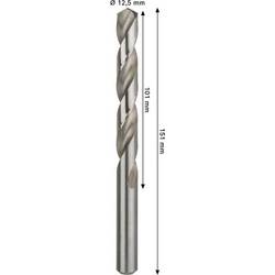 Bosch Accessories 2608577665 2608577665 HSS-G kovový spirálový vrták Celková délka 151 mm 1 ks