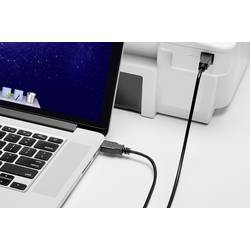Renkforce USB kabel USB 2.0 USB-A zástrčka, USB-B zástrčka 0.30 m černá pozlacené kontakty RF-4463064
