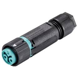 Wieland Electric 46.031.4951.6 konektor