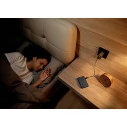 ECOFLOW Rapid 5000 powerbanka Li-Ion, 5000 mAh, MagSafe, Bezdrátové nabíjení Qi, USB-C®, Bezdrátové nabíjení, černá