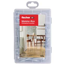 Fischer 553348 Meister-Box Box s výběrem hmoždinek 1 sada