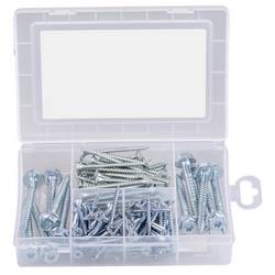 Fischer 553348 Meister-Box Box s výběrem hmoždinek 1 sada