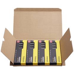 Intenso 7501520 tužková baterie AA alkalicko-manganová, 2600 mAh, 1.5 V, 40 ks