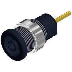 Hirschmann Test & Measurement SEB 2630 S1,9 bezpečnostní laboratorní zásuvka zásuvka, vestavná vertikální Ø pin: 4 mm černá 1 ks