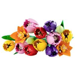 11501 LEGO® Botanicals™
