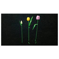 11501 LEGO® Botanicals™