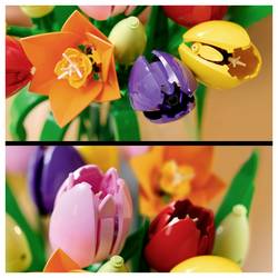 11501 LEGO® Botanicals™