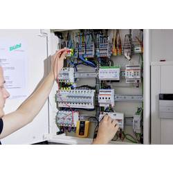Wiha 45222 zkoušečka průchodnosti, CAT II 600 V, LED, akustika