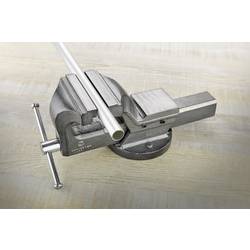 TOOLCRAFT TO-5342445 svěrák, TO-5342445, Šířka čelistí: 100 mm, Rozpětí (max.): 125 mm