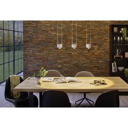 Paulmann Aldan 79720 LED závěsný lustr LED 15 W hliník, černá