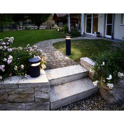 Deko Light 730492 Faro 25 sloupkové LED světlo LED pevně vestavěné LED 24 W tmavě šedá