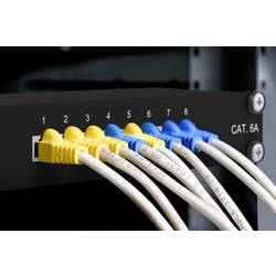 Renkforce RF-4870828 8 portů síťový patch panel 254 mm (10) CAT 6A 1 U osazený