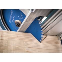 Bosch Accessories 2608902165 2608902165 pilový kotouč Počet zubů (na palec): 36 1 ks