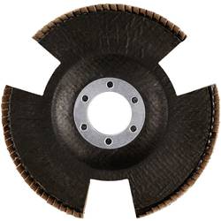 Rhodius 210654 VISION SPEED vějířovitý brusný kotouč Průměr 115 mm Ø otvoru 22.23 mm Zrnitost 80 nerezová ocel 1 ks