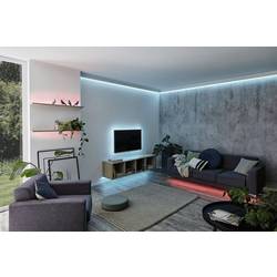 Paulmann MaxLED Basic RGB 79880 LED pásek základní sada konektor 24 V 1.5 m teplá bílá 1 ks