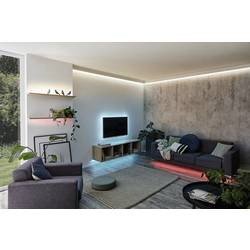 Paulmann MaxLED Basic RGB 79880 LED pásek základní sada konektor 24 V 1.5 m teplá bílá 1 ks