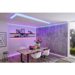 Paulmann MaxLED Basic RGB 79880 LED pásek základní sada konektor 24 V 1.5 m teplá bílá 1 ks