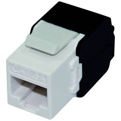 Roline RJ45 vestavný modul Keystone CAT 6A 1 ks