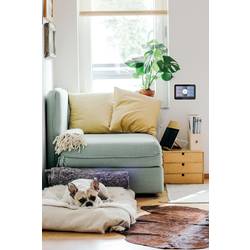 Davis Instruments Weatherlink Touch Console 6313EU digitální bezdrátová meteostanice Počet senzorů (max.) 80