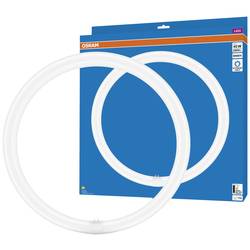 OSRAM HOMELIGHTING LED trubice Energetická třída (EEK2021): E (A - G) G10q kruhová zářivka KVG 24 W = 40 W studená bílá (Ø x d) 400 mm x 400 mm 1 ks