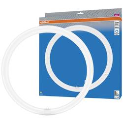 OSRAM HOMELIGHTING LED trubice Energetická třída (EEK2021): E (A - G) G10q kruhová zářivka KVG 24 W = 40 W studená bílá (Ø x d) 400 mm x 400 mm 1 ks