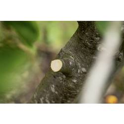 Bosch Home and Garden 06008C5001 AdvancedPrune 18V-45 Akumulátorové zahradnické nůžky 18 V Li-Ion