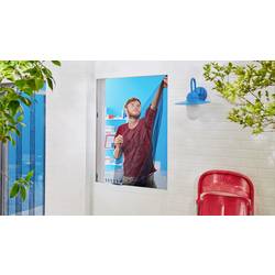 tesa STANDARD 55671-00500-00 síť proti hmyzu (š x v) 1100 mm x 1300 mm bílá 3 ks