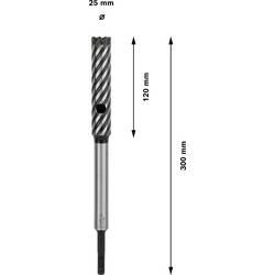 Bosch Accessories Armierungsbohrer SDS plus-9 Rebar Cutter 25x120x300mm 2608586998 příklepový vrták 25 mm Celková délka 300 mm SDS plus 1 ks