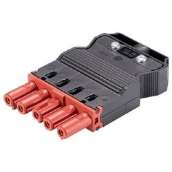 Wieland Electric 92.953.4553.5 konektor