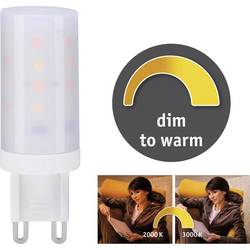 Paulmann 28819 LED Energetická třída (EEK2021) G (A - G) G9 pinová objímka 4 W zlatá (Ø x v) 18 mm x 55 mm stmívatelná 1 ks