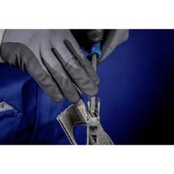 PFERD TOOLS 11104253 Dílenský pilník Délka 250 mm 10 ks