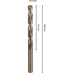 Bosch Accessories 2608577611 2608577611 kovový spirálový vrták 1 ks