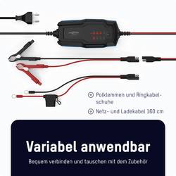 Ansmann BC 6-12V / 2 A 1001-0143 nabíječka, dílenská nabíječka, monitorování autobaterie 6 V, 12 V 2 A