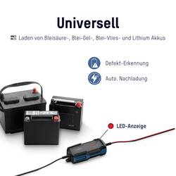 Ansmann BC 6-12V / 2 A 1001-0143 nabíječka, dílenská nabíječka, monitorování autobaterie 6 V, 12 V 2 A