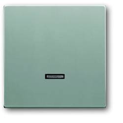 Busch-Jaeger 6543-83-101 2CKA006599A2887 vstupní modul žádný hliník, bílá hliníková (RAL 9006) 1 ks