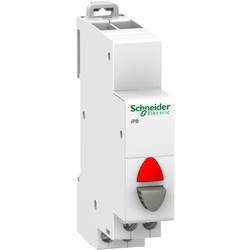 250 V Schneider Electric A9E18039
