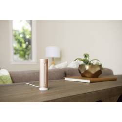Netatmo Healthy Home Coach NE1020ZZ teploměr a vlhkoměr pro App