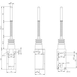 Siemens 3SE52320HR01 3SE5232-0HR01 polohový spínač 6 A pružinová tyč, plastové zdvihátko IP65 1 ks
