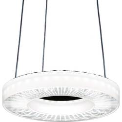 RIDI SPI0000060 SPI0000060 LED závěsný lustr LED