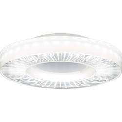 RIDI SPI0000076 SPI0000076 LED stropní svítidlo LED Světelný zdroj není zaměnitelný 35 W