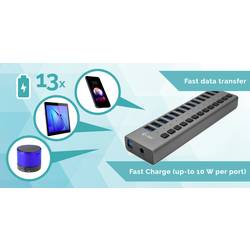 i-tec U3CHARGEHUB13 USB Hub 13 portů USB-A USB 3.0 5 GBit/s šedá I-TEC USB 3.0 Charging HUB 13 Port