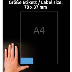 Avery-Zweckform 3449 univerzální etikety 70 x 37 mm papír modrá 2400 ks trvalé inkoustová tiskárna, laserová tiskárna, barevná laserová tiskárna, kopírka