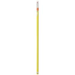 OSRAM HOMELIGHTING LED trubice Energetická třída (EEK2021): F (A - G) G13 zářivkový tvar 24 W = 58 W teplá bílá (Ø x d) 27.80 mm x 1513 mm 1 ks
